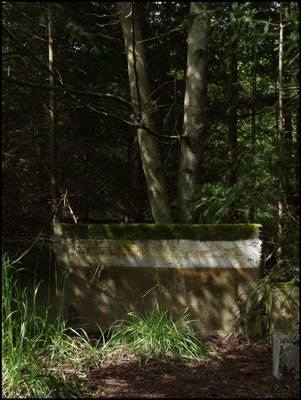 fort6